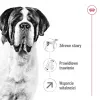 ROYAL CANIN Giant Adult - Ração seca para cães - 15 kg