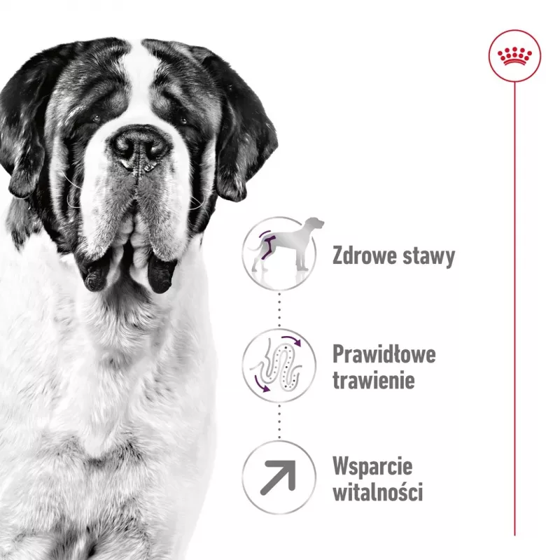 ROYAL CANIN Giant Adult - Ração seca para cães - 15 kg