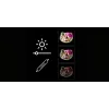 Luz de espelho LED Neon MANTA MASNL129WH — gato com laço, destaque neon decorativo