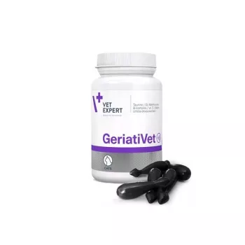 Suplemento alimentar VETEXPERT GeriatiVet gato cápsulas 60 unidades — apoio para gatos idosos, promoção da função cerebral, sem glúten e sem soja