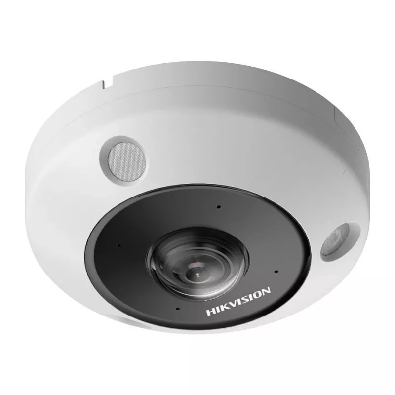 Câmara de vigilância IP Hikvision DS-2CD6365G1-IVS(1.16mm) 2560 x 2560 píxeis