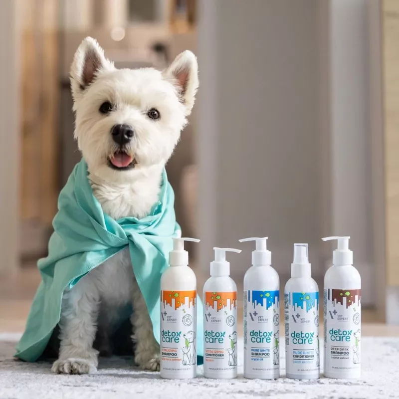 VetExpert Detox Care Vitalizing champô para cães e gatos, 250 ml