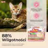 INABA Churu caixa sortida de atum – snacks para gatos – 60 x 14 g
