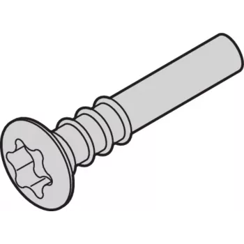 SCHROFF Parafuso Torx de cabeça lenticular - NTS LISESHR TORX3.0X20 100 unid. (24812501)