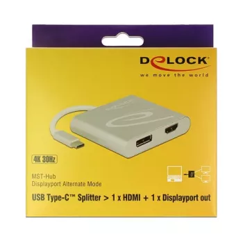 Adaptador gráfico USB DeLOCK 87716 2560 x 1440 píxeis prateado