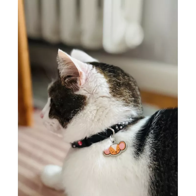 ZOLUX Chatouille preta - coleira para gatos
