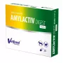 Enzimas digestivas Vetfood AMYLACTIV DIGEST MINI – suplemento alimentar, 30 cápsulas para gatos e cães