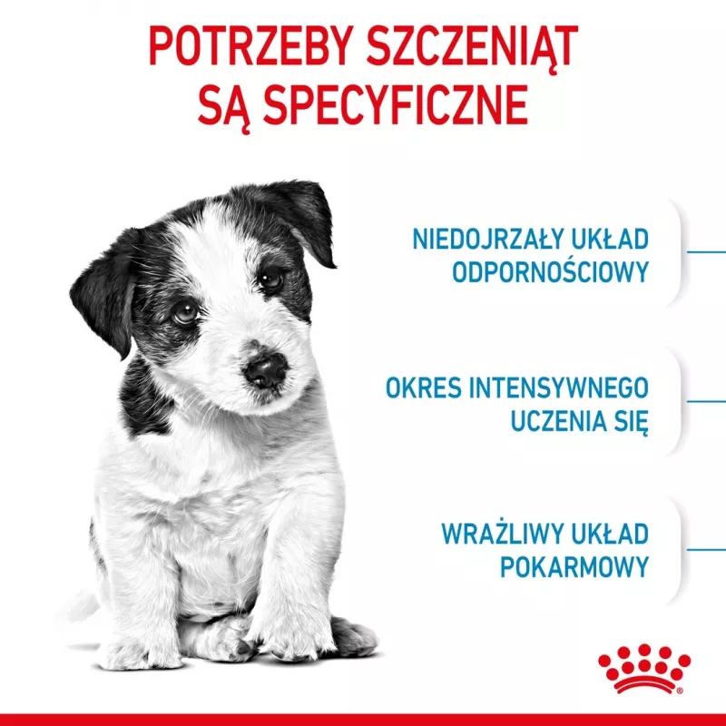 ROYAL CANIN Mini Puppy SHN comida seca para cães 2 kg