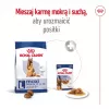 Royal Canin Maxi Adult 5+ ração seca para cães, 15 kg