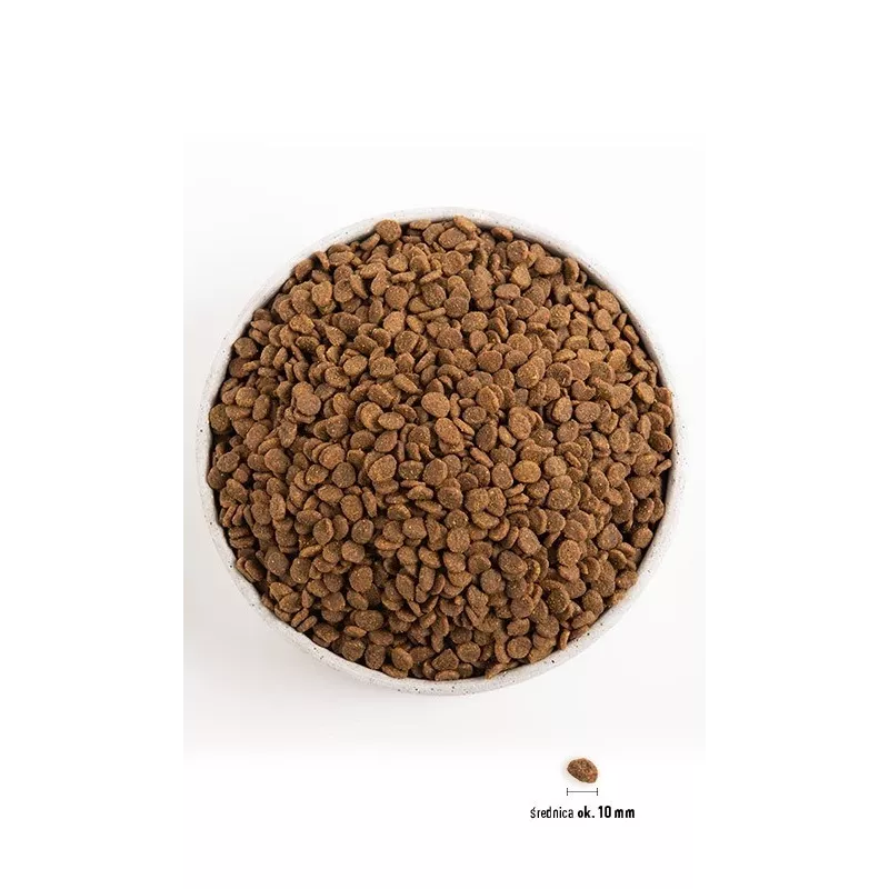 Orijen Kitten ração seca para gatinhos, 1,8 kg