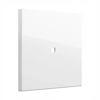 Tecla de interruptor Gira tecla aro de controlo System 55 branco puro (modelo 329003) para aros System 55