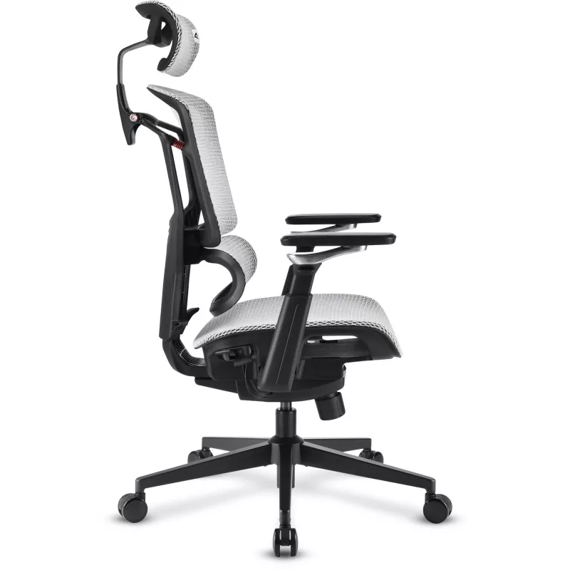 Cadeira de escritório Sharkoon OfficePal C50M — assento acolchoado, encosto em rede, preta, encosto 49 × 63 cm, largura do assento 50 cm