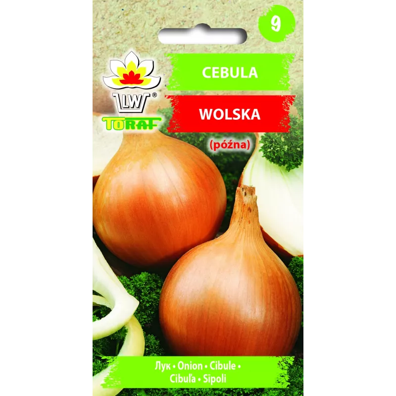 Sementes de hortícolas cebola Wolska Toraf, pacote 5g