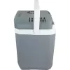 Cool Box Campingaz Powerbox Plus 28 L elétrica cinzento