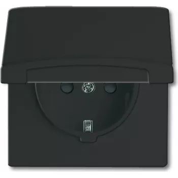 Busch-jaeger 2CKA002064A0295 preto