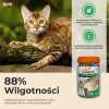 Petiscos húmidos para gatos INABA Churu sabores — frango e atum, 50 x 14 g tubos de pasta, sem cereais, sem glúten e sem açúcar