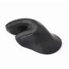 Gembird MUSW-ERGO-03 Rato Casa Destro RF Sem fios Ótico 1600 DPI