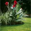 Gardena 536-20 rolo de bordadura de jardim plástico verde (536)