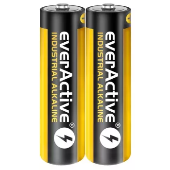 Pilha alcalina descartável everActive EVLR6S2IK AA 1,5 V — pack de 40