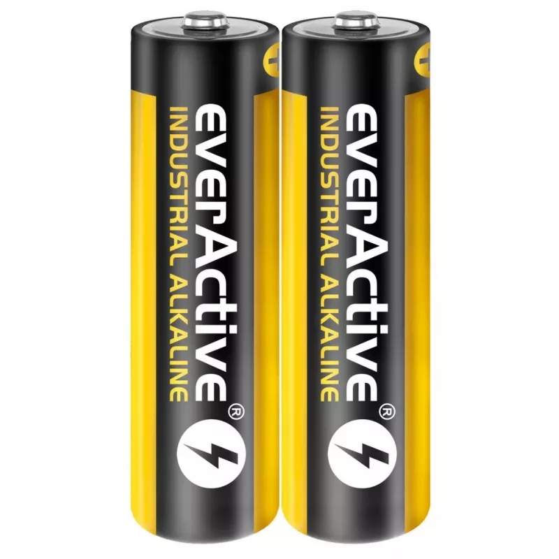 Pilha alcalina descartável everActive EVLR6S2IK AA 1,5 V — pack de 40