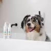 Amaciador VETEXPERT Clinic Care Hypo & Omega – amaciador para cães e gatos – 150 ml