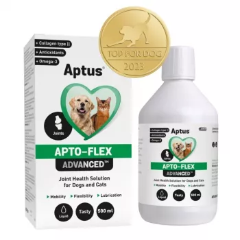 Suplemento líquido para articulações Aptus Apto-flex Advanced para cães e gatos 500 ml, líquido, frasco de 500 ml, sem conservantes