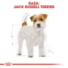 ROYAL CANIN Jack Russell Adult ração seca para cães - 1,5 kg