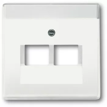 Placa de parede / tampa de interruptor Busch-Jaeger 1710-0-3888, branco, 63×63 mm, design convencional
