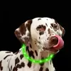Coleira LED Anicoll verde para cães e gatos modelo iluminação recarregável