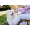 VIRBAC MOVOFLEX croquetes moles para articulações de cães tamanho M, suplemento de apoio articular