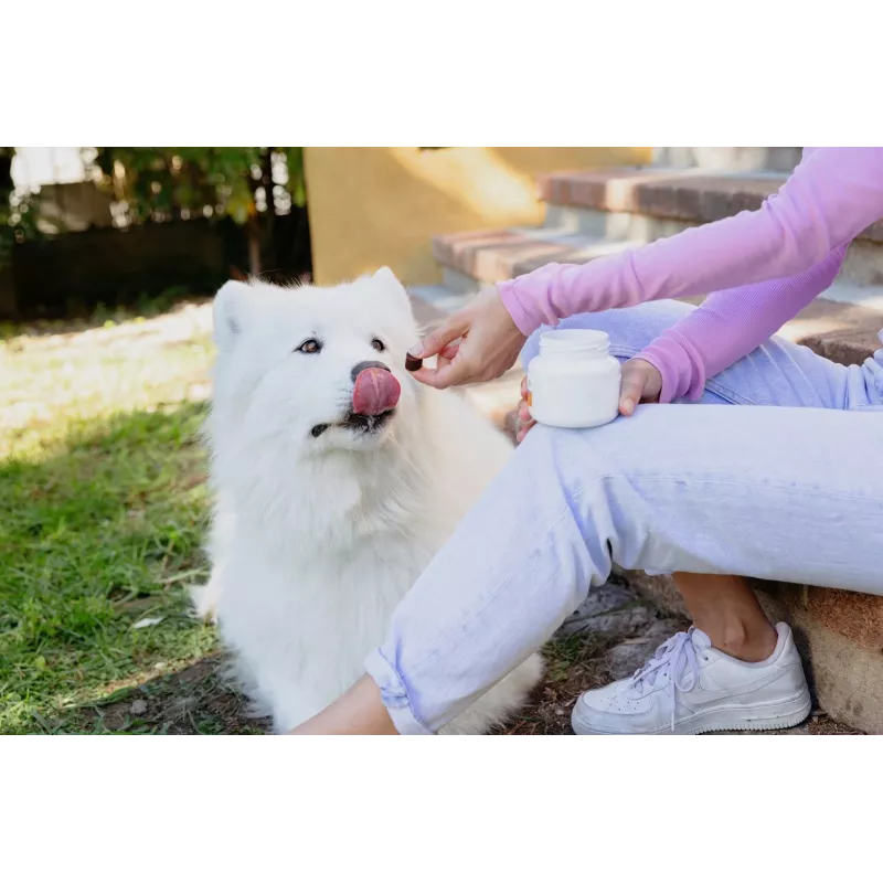 VIRBAC MOVOFLEX croquetes moles para articulações de cães tamanho M, suplemento de apoio articular
