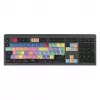 Logickeyboard LKB-PPROCC-A2M-UK Teclado USB QWERTY inglês preto (LKB-PPROCC-A2M-UK)