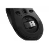 Rato gaming sem fios Lenovo Legion M600 para ambas as mãos RF sem fios + Bluetooth + USB Type-A ótico 16000 DPI