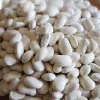 PNOS feijão seco Iglomska sementes, 50 g