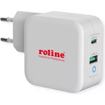 ROTRONIC-SECOMP Roline - fonte de alimentação - 65 Watt - 3,25 A - PD, QC 3.0 - 2 portas de saída (USB, USB-C)