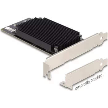 Placa aceleradora de aplicações DELOCK PCIe 3.0 x8 Modelo 31416