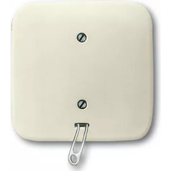 Busch Jaeger 2CKA001315A0191 interruptor elétrico interruptor de cordão branco (2CKA001315A0191)
