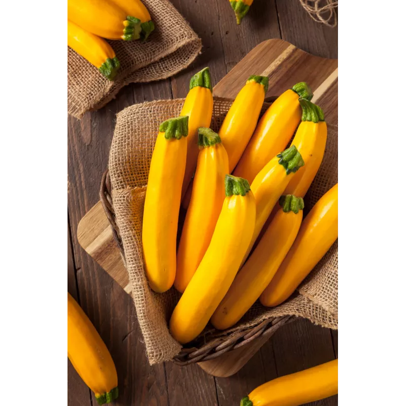 Sementes de hortícolas courgette dourada Toraf, pacote 5g