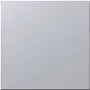 Siedle BM 611-0 SM - placa de montagem - prateado - Siedle - 99 mm - 26 mm - 99 mm (200016941-01)