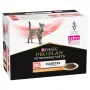 PURINA Pro Plan Veterinary Diets DM St/Ox Diabetes Management - Alimento húmido para gatos - 10 x 85 g