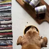 OLLO Umami pato e peru - Ração húmida para cães - 850g