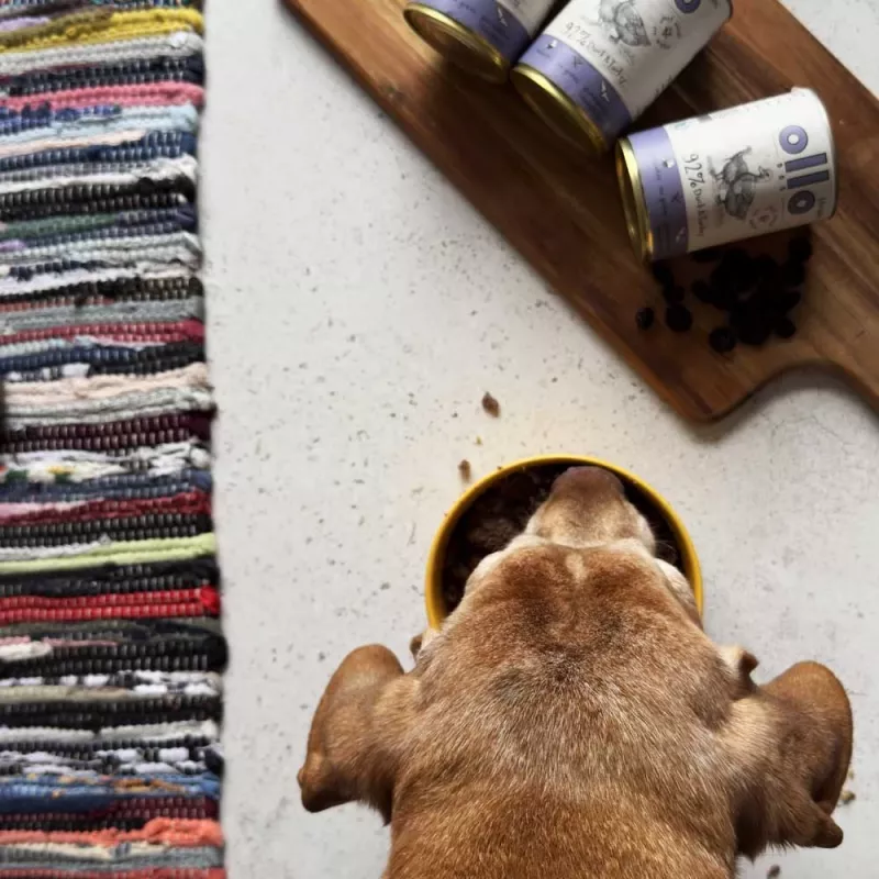 OLLO Umami pato e peru - Ração húmida para cães - 850g