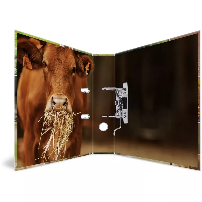 Dossier HERMA 19253 A4 multicolorido cartão 285x315 mm