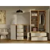 Cómoda com 2 portas e 4 gavetas, carvalho artisan/cor caxemira