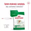 ROYAL CANIN Mini Ageing Adult +12 - Ração seca para cães - 3,5 kg