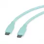 Cabo USB 2.0 ROLINE C-C ST/ST silicone 60W 1m verde - Cabo - Digital/Dados (11.02.9125)