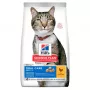 HILL'S SP Adult Oral Care Chicken - alimento seco para gatos - 1,5 kg