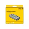 Delock DELOCK-63262 cinzento