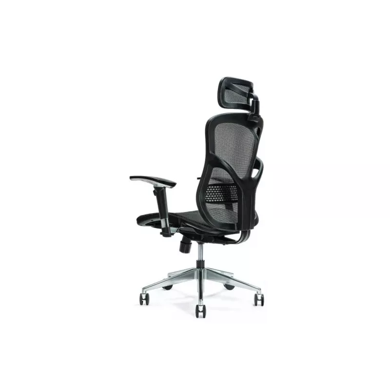 Cadeira de escritório ergonómica ERGO 500 preta