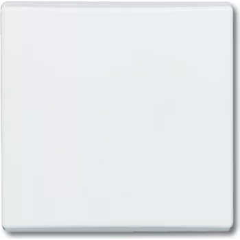 BUSCH JAEGER 2106-32 - branco - Busch-Jaeger - 70 mm - 70 mm - 1,3 cm - 1 unidade(s)
